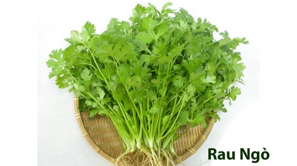 Cây Rau Thơm_2