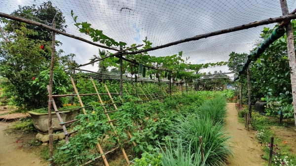 Chương Trình Trải Nghiệm 2 Tiếng_7