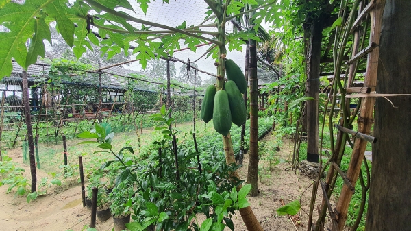 Chương Trình Trải Nghiệm 4 Tiếng_7