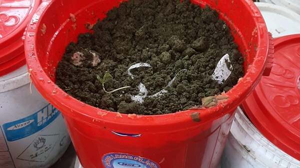 MÔ HÌNH LÀM PHÂN COMPOST TỪ RÁC HỮU CƠ_11
