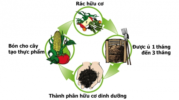 MÔ HÌNH LÀM PHÂN COMPOST TỪ RÁC HỮU CƠ_1