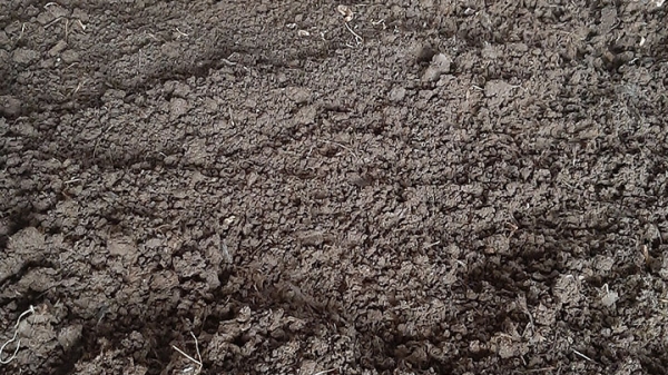 Mô Hình Nuôi Trùn Quế_10