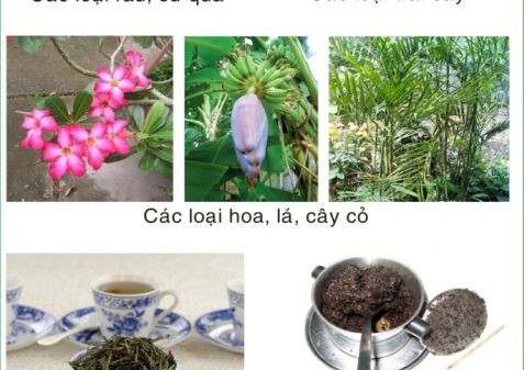 PHÂN LOẠI VÀ GIẢM THIỂU RÁC THẢI_2