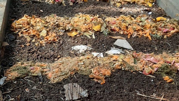 Mô Hình Làm Phân Compost Từ Rác Hữu Cơ_8