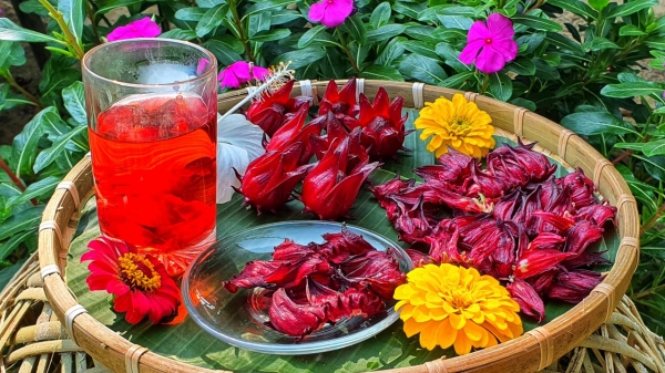 Chương Trình Trải Nghiệm 2 Giờ_4