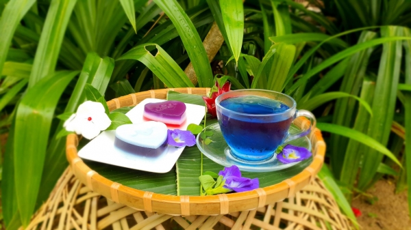 Chương Trình Trải Nghiệm 2 Giờ_6