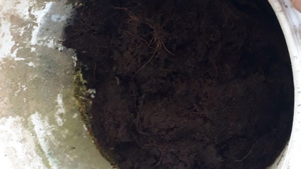 Mô Hình Làm Phân Compost - Thành Phẩm_1