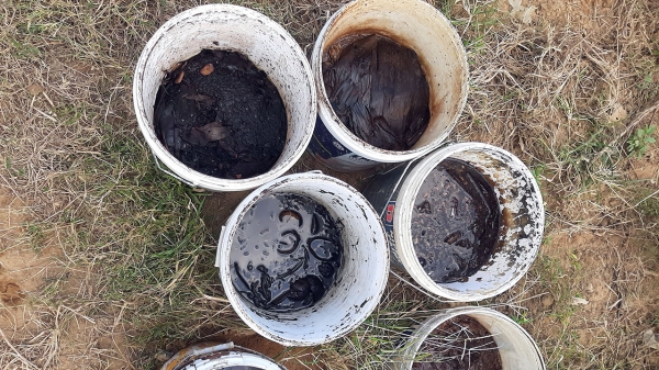 Mô Hình Nuôi Trùn Quế_10